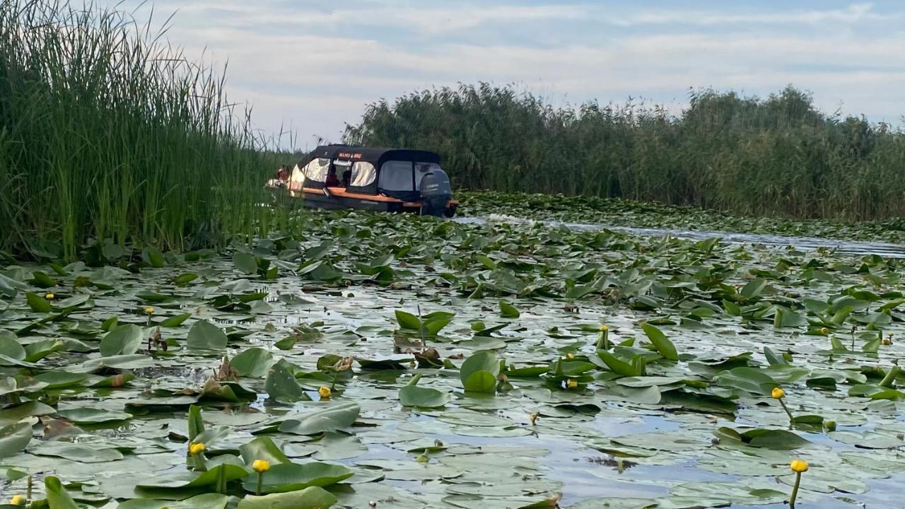 Manu B&B Murighiol Dış mekan fotoğraf